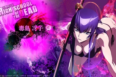 Saeko Bushijimi   Saeko Busujima Wallpapers (26187533)   Fanpop