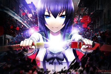 Saeko Busujima Wallpapers By Redeye27 On DeviantArt