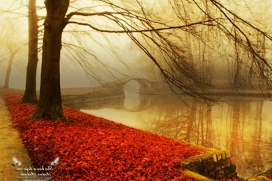 Wallpaper of autumn season wallpapers