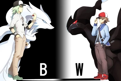 Pokemon White Wallpapers   Wallpapers Cave