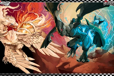 Pokemon Reshiram Vs Zekrom, Fox, Viper, 1920x1200 HD Wallpapers And ...