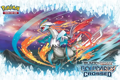 The Official Pokémon Website