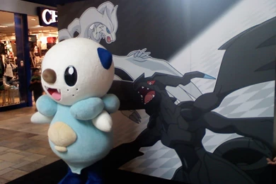 Pokemon Black And White Material   Pokémon Wallpapers (19822913 ...