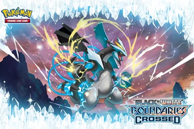 The Official Pokémon Website