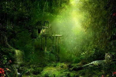 I Love Tree House: The Jungle Tree House Wallpapers 1680x1050