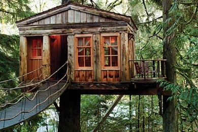 Top 20 Beautiful And Amazing Tree House Wallpapers,Pics