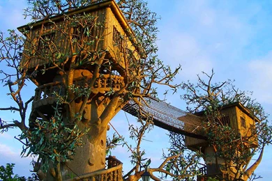 Sunset At Tree House Nature Photo Wallpapers HD