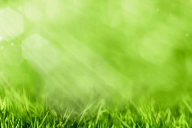 Download Wallpapers 3840x1200 Grass, Sunlight, Rays Dual Wide HD ...