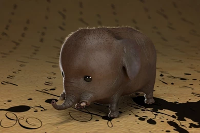 Elephant Computer Wallpapers, Desktop Backgrounds