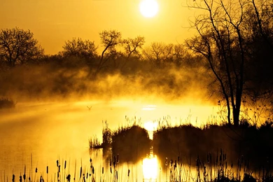 Adventure Time Treehouse Wallpapers 246363