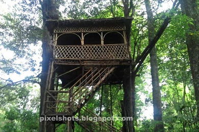 Houses: Treehouse Rainforest Envious Amazon Personal Wallpapers ...