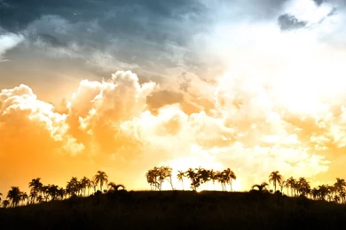 Sunlight Backgrounds Wallpapers   9037