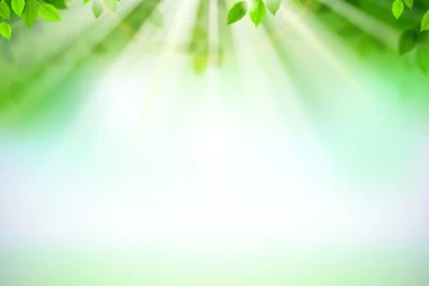Sunlight With Green Leaves Shiny Backgrounds Vector 03   Vector ...