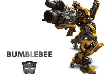 1280×960 Bumblebee Shooting