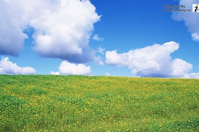 Beautiful Landscape Scenery   Photo 314 Of 395