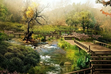 Beautyfull Flowers Wild Garden – Nature Other HD Desktop Wallpapers