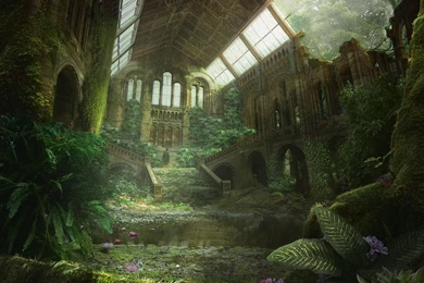 Old And Beautyfull   (