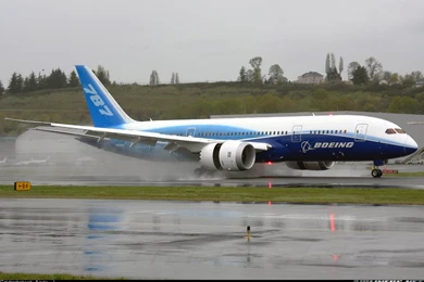 Photos: Boeing 787 8 Dreamliner Aircraft Pictures