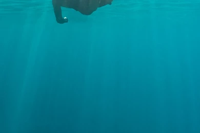 Windows10 Mobile wallpaper img4.jpg