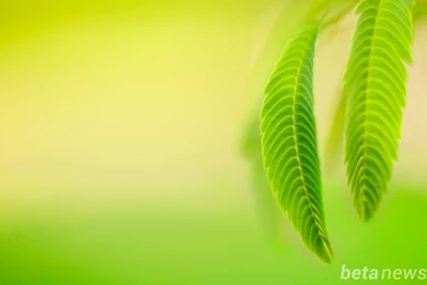 Download Windows 10 Wallpapers Pack (18 Win 10 Wallpapers)