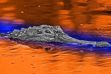 Projects To Try On Pinterest