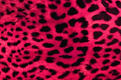 Pink Leopard Print Wallpapers By Angeldust On DeviantArt
