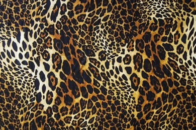 Download Wallpapers Texture, Leopard, Fur, Wool, Skin, Textures ...