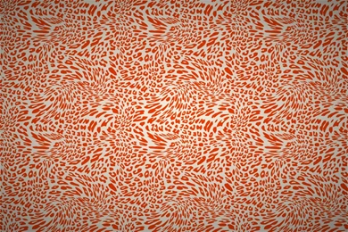 Leopard_skin_twist_pattern 645.jpg