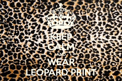 Leopard Wallpapers Archives   Page 2 Of 5   Wallpapers