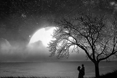 Wallpapers Zsuzsanna Ripli Of Lovers 1024x768