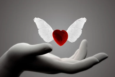 Full Hd Lovers Hd Wallpapers 3D