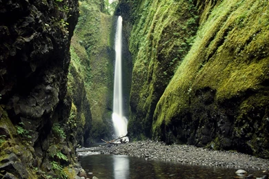 Oregon Desktop Wallpapers   HD Wallpaper Backgrounds Of Your Choice