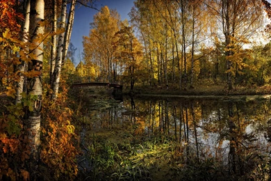 Scenic Computer Wallpapers, Desktop Backgrounds