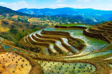 Desktop Wallpapers Sites   Wallpapers Cave