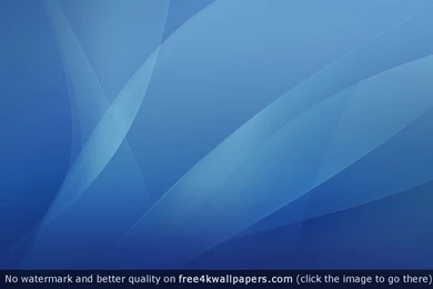 Best Tiger 4K Or HD Wallpapers For Your PC, Mac Or Mobile Device