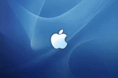 SEO, PPC, Social Media & Internet Marketing