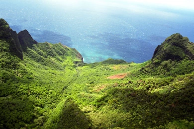 Wallpapers Forest, Tropics, Ocean, Green, Rainforest.