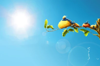 Sun Birds Art Cartoon HD Wallpapers   FreeWallsUp