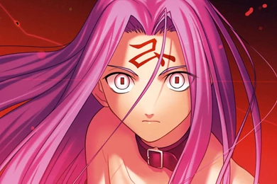 Fate Stay Night Fate Series Rider Fate Stay Night Type Moon ...