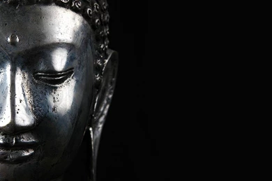Buddhism: An Introduction   A Review
