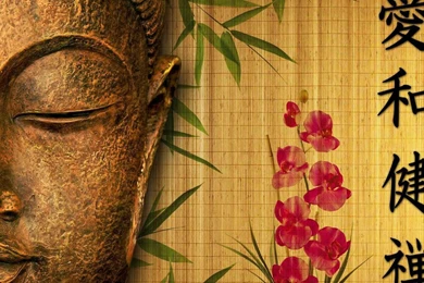 Buddha Zen Style   (