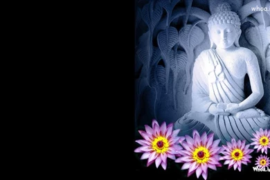 White Lord Buddha Samadhi Statue with White and Black Background.jpg
