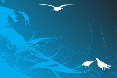 Dell Wallpapers   Wallpapers Cave