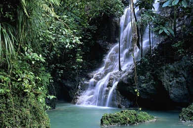 New Hd Nature Wallpapers For Desktop