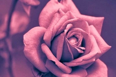 The Beautiful Iphone 5 Wallpapers Dimensions  Free Quality ...