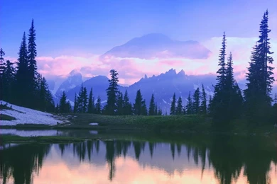 Nature_Samsung Wallpapers