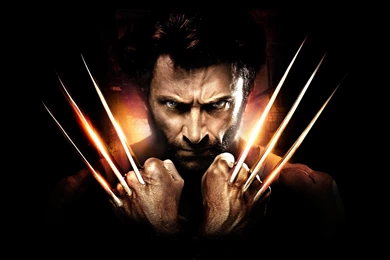 Wolverine Wallpapers HD   Wallpapers Cave
