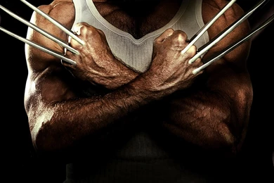 The Wolverine Movie Release Date, Cast, Wallpapers, Hugh Jackman ...