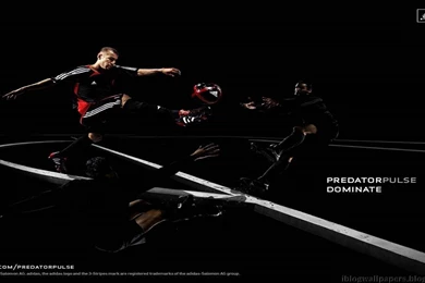 Zinedine Zidane Adidas Wallpapers Free Download   Football Wallpapers