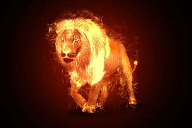 Fire Lion By RiduXz On DeviantArt